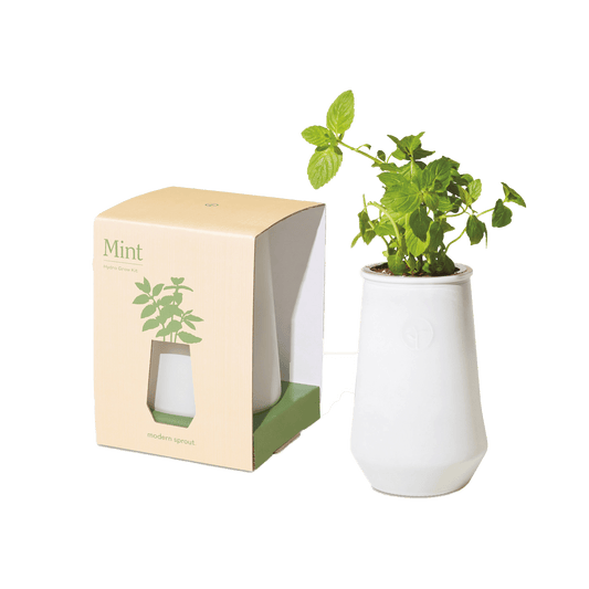 White/Mint Custom Modern Sprout Tapered Tumbler Grow Kit - Corporate Gifts